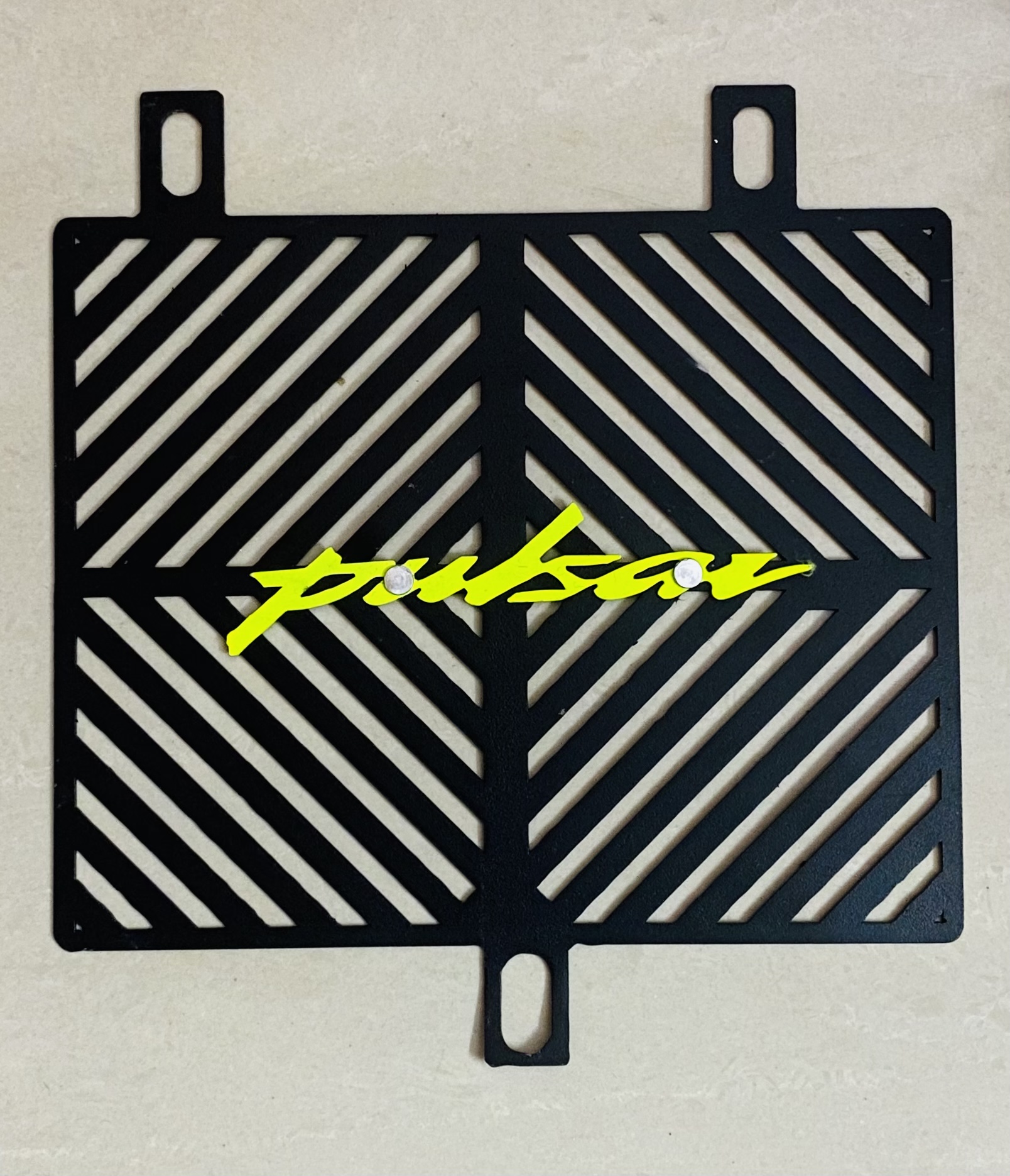 NS200 radiator guard